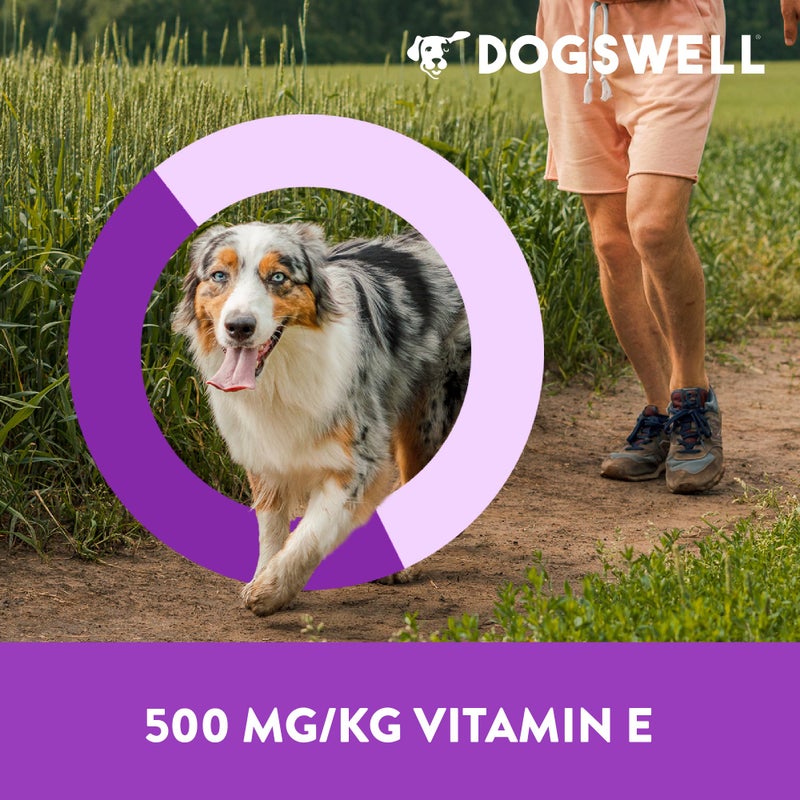 DOGSWELL Immunity & Defense, Flaxseed Oil, Turmeric, Vitamin E & A, Healthy Aging, Chicken Jerky 24 oz. (842197) - Image 4